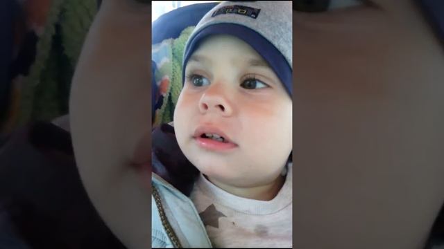 Гуляем во дворе. Сидим в домике, пасмурная погода. Повторяем звуки животных. смотреть онлайн