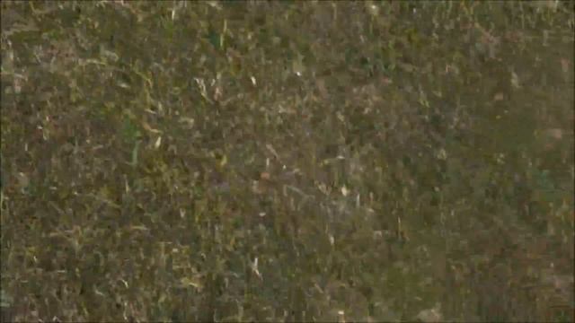 Free Flight Mini HLG JTS-E36 with Sony CX670 смотреть онлайн