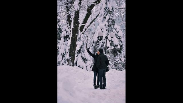 Олександр Тищенко Українська пісня "Скільки днів" смотреть онлайн