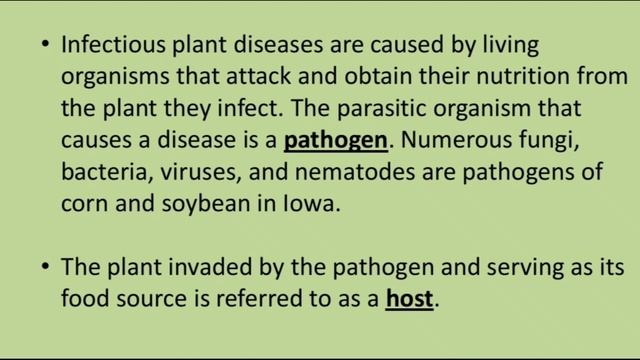Plant Pathology смотреть онлайн
