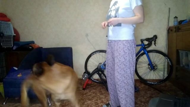 защита 1.1. стоп рука смотреть онлайн