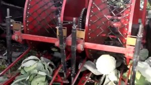 Комбайн капустоуборочный МКК 2