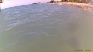 Мидии. Где и как ловить мидии.