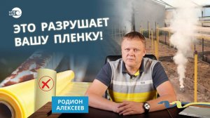 Что  может разрушить пленку для теплиц?