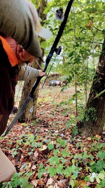 Bubbles canadian boar..hunting practice #archery #hunting #bogenschießen #bow #shorts смотреть онлайн