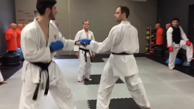 Competition Team Training смотреть онлайн