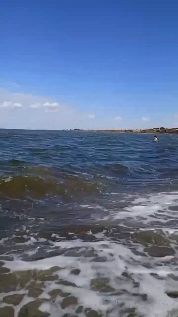 Тамань. Азовское море. Сентябрь 2023  #Тамань #азовскоеморе #Кубань #ЮгРоссии #краснодарскийкрай