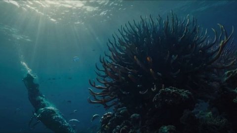 Путешествие в Мир Китов | ИСКУССТВЕННЫЙ ИНТЕЛЛЕКТ #искусственныйинтеллект