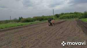 Мы не сеем и не пашем , мы валяем дурака...