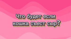 Почему кошкам нельзя давать сыр?