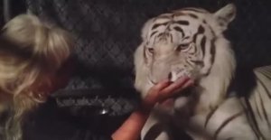 ... Необычные домашние Животные....