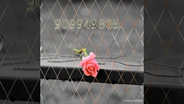 Ш.душанбе смотреть онлайн