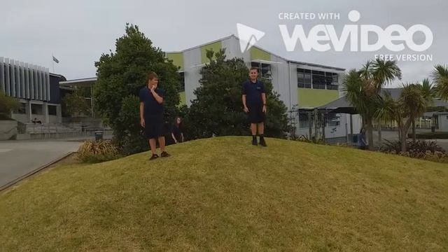 Chinese ni shi na guo ren