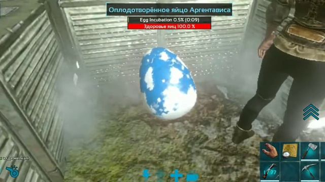 вылупление оплод яиц в Ark mobile hatching of fertilized eggs in ark mobile на сервере аква ру смотреть онлайн