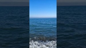 Прогулка к морю на электросамокатах.