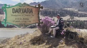 New music instrument "Dartara" 2025/ Новый музыкальный инструмент "Дартара"