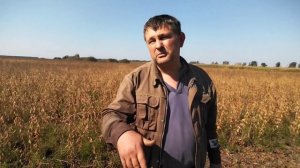 СОЯ. В гостях у Юрия. Учимся выращивать сою.