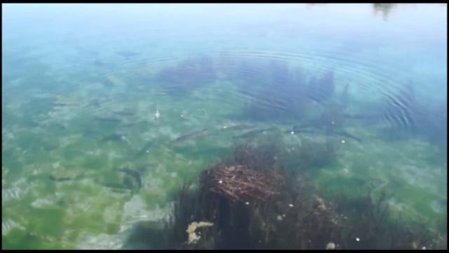 Казакстан смотреть онлайн