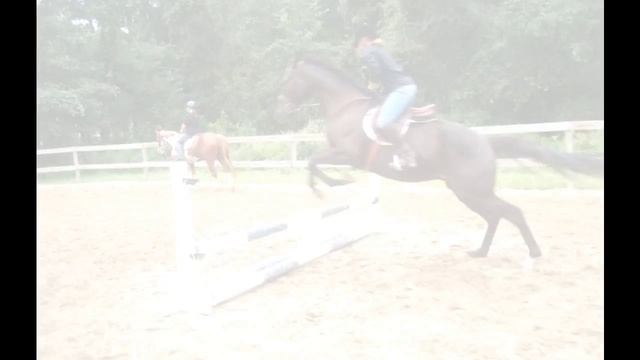 Ozzy & Rachel ♥ смотреть онлайн