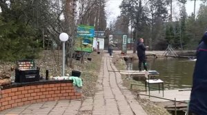 Голицыно Fish