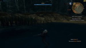 Ведьмак 3 - Лихо у колодца. Полуденница