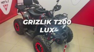 Подростковый бензиновый квадроцикл MOTAX GRIZLIK T200 LUX красный камуфляж
