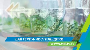 Российские ученые вывели специальные бактерии для очистки почвы от ракетного топлива