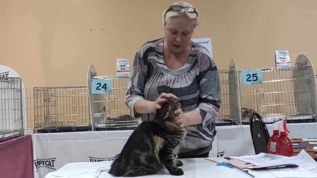 FanTom Atos of Antura Ajnu, 9 месяцев. Word Show ICU, 18-19.09.21. Москва смотреть онлайн