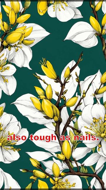 Brighten Your Garden Instantly with These Unstoppable Yellow Blooms! 🌼 #Forsythias #SpringVibes