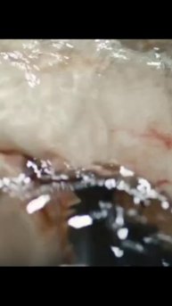 Багровая отмель.