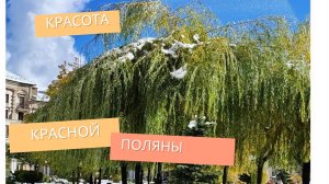Красивые виды в Красной Поляне Горки Город