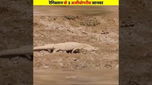 रेगिस्तान के 3 सबसे अजीबोगरीब जानवर | Top 3 Weirdest Desert Animals #shorts #viral #animals