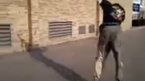 SKATEBOARD MASTER RAD DOG JASON