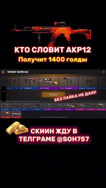 А у вас есть скин на АКР12?