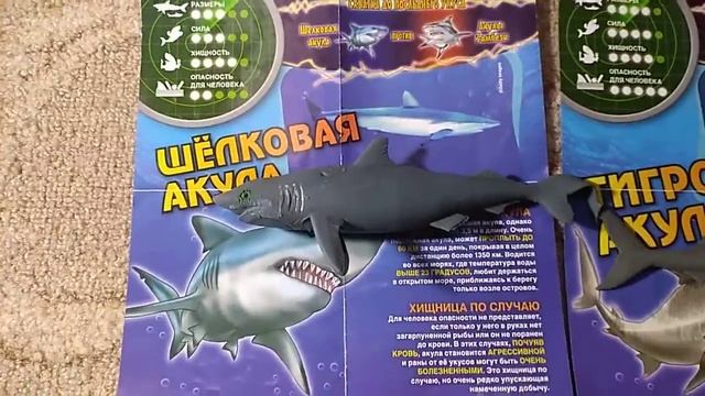 обзор макси про акул 2 часть смотреть онлайн