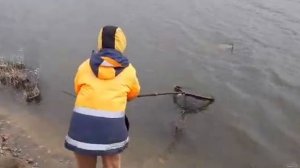 Ловля КАРПА. Озеро "Петькина Речка".Крым