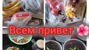Распаковка. Перчики растут 🌶️ Болтаю