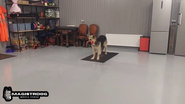 Тунгус. Пройден третий уровень команды стоять-5 минут (выдержка).