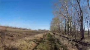 Апрельское утро.😊