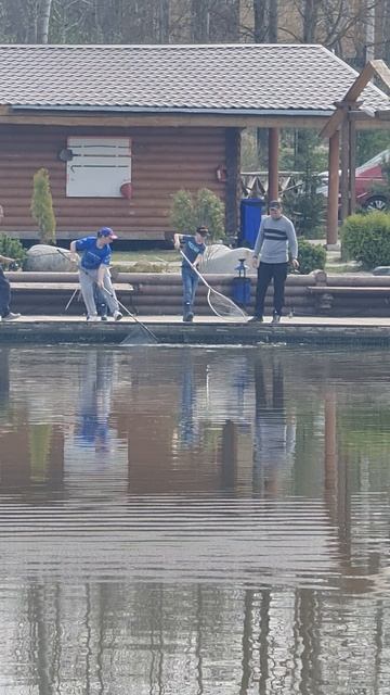 Поимка смотреть онлайн