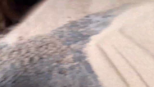 ЦІНА НА СОЮ 2023 .Почому можна продати малий обєм СОЇ. Продав сою...Ціна за 1т. смотреть онлайн