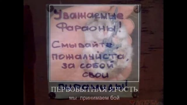 Мое слайд-шоу смотреть онлайн