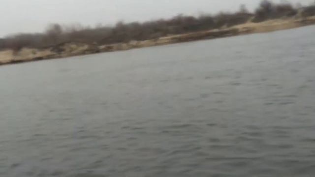 Косуля переплывает Дон смотреть онлайн