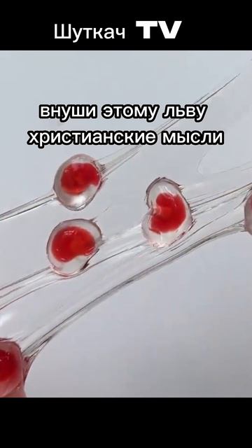 Анекдот про льва и священника #анекдоты #шутки #мем #приколы #shorts смотреть онлайн