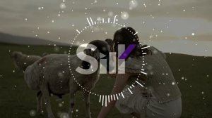 Расул Шумлелик - Рамазан | 2024