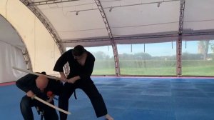 раскрытие ката иайдо в поединке...