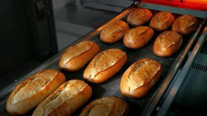 Подовая паротрубная печь PTO 160 (газ/дизель)