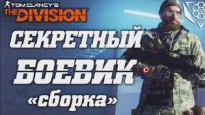 THE DIVISION - ЗАСЕКРЕЧЕННЫЙ БОЕВИК. КАК СОБРАТЬ СЕКРЕТНОГО БОЕВИКА ДЛЯ ПВП