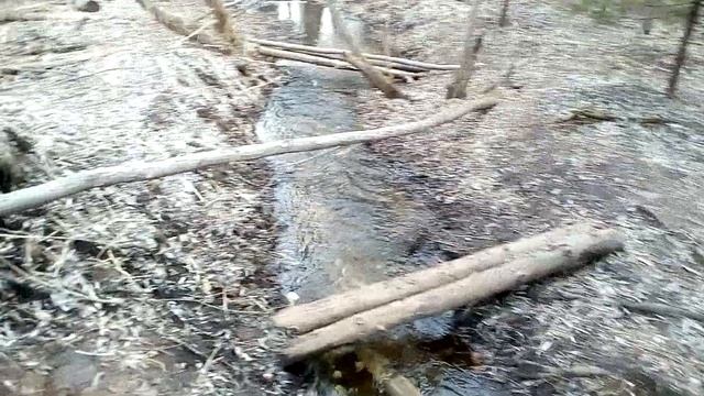 26 апреля ручей, журчит вода и тишина в парке Балатово города Перми смотреть онлайн