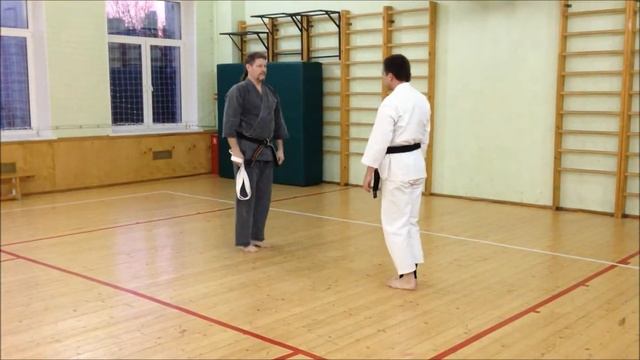 Anton Larin / Hojo jutsu. Application #1. смотреть онлайн